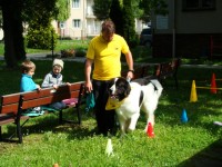 obrázek z fotogalerie