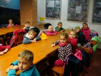 obrázek z fotogalerie