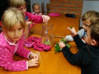obrázek z fotogalerie