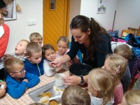 obrázek z fotogalerie