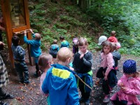 obrázek z fotogalerie