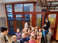 obrázek z fotogalerie