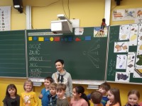 obrázek z fotogalerie