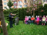 obrázek z fotogalerie