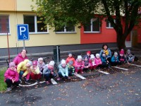 obrázek z fotogalerie