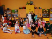 obrázek z fotogalerie