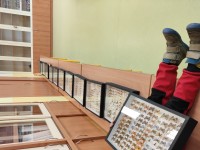 obrázek z fotogalerie