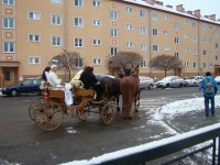obrázek z fotogalerie