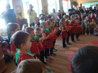 obrázek z fotogalerie