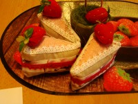 obrázek z fotogalerie