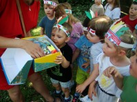 obrázek z fotogalerie