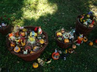 obrázek z fotogalerie