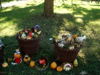 obrázek z fotogalerie