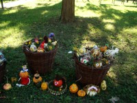 obrázek z fotogalerie