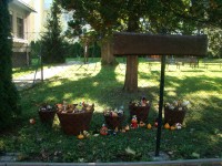 obrázek z fotogalerie