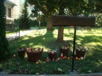 obrázek z fotogalerie