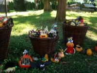 obrázek z fotogalerie