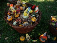 obrázek z fotogalerie