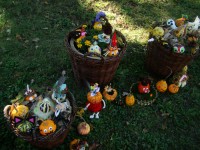 obrázek z fotogalerie