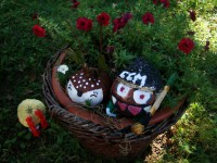 obrázek z fotogalerie