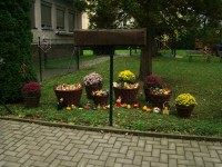 obrázek z fotogalerie