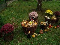 obrázek z fotogalerie