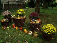 obrázek z fotogalerie