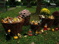 obrázek z fotogalerie