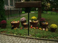 obrázek z fotogalerie