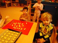 obrázek z fotogalerie