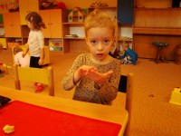 obrázek z fotogalerie