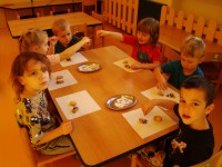 obrázek z fotogalerie