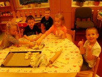 obrázek z fotogalerie