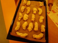 obrázek z fotogalerie