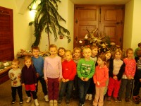 obrázek z fotogalerie