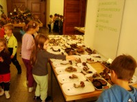 obrázek z fotogalerie