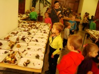 obrázek z fotogalerie