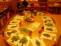 obrázek z fotogalerie