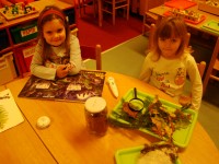 obrázek z fotogalerie