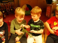 obrázek z fotogalerie