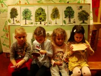 obrázek z fotogalerie