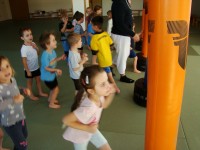 obrázek z fotogalerie