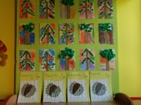 obrázek z fotogalerie