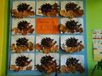 obrázek z fotogalerie