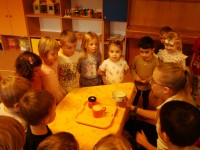 obrázek z fotogalerie