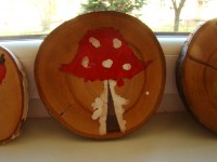 obrázek z fotogalerie