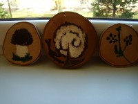 obrázek z fotogalerie