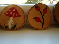 obrázek z fotogalerie