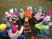 obrázek z fotogalerie