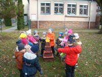 obrázek z fotogalerie